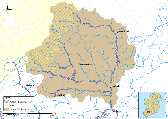 Upper Blackwater Tributaries - River Allow Catchment