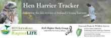 Hen Harrier Tracker